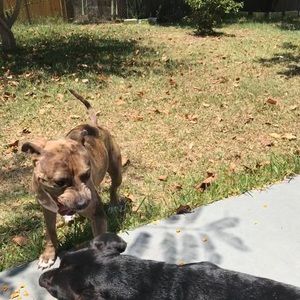 Meet your Posher, Natalie