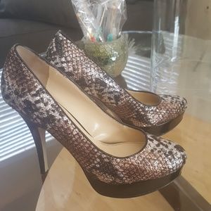 Gorgeous Enzo Angiolini Heels
