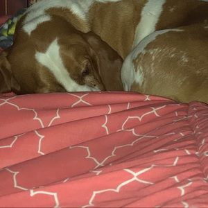 Meet your Posher, Mackenzie