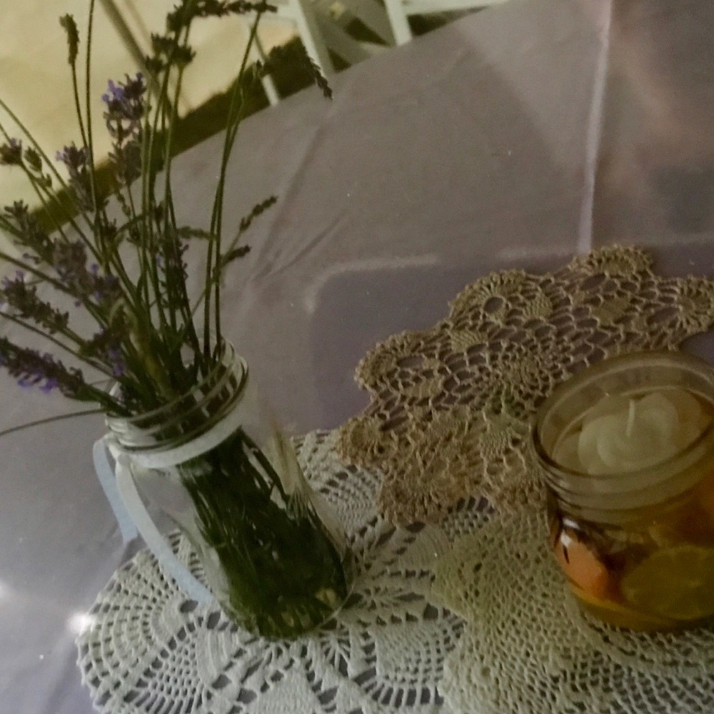 Meet your Posher, Holly