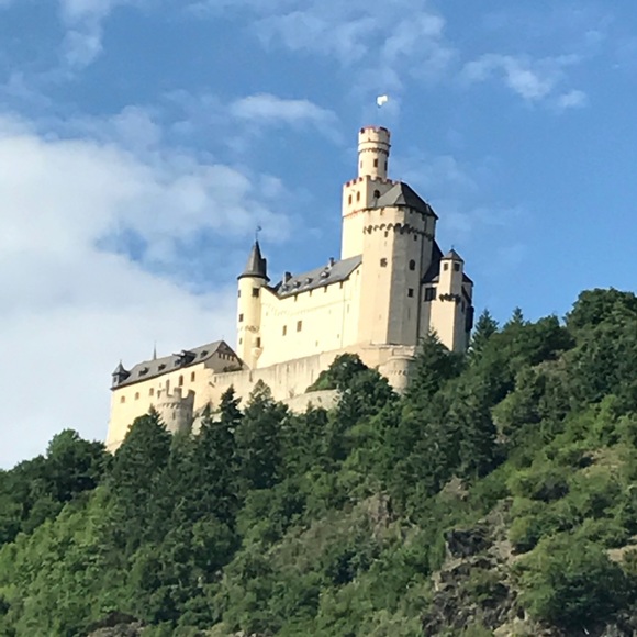 Meet your Posher, Holly - Picture 5 of 8