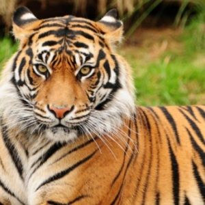 Meet your Posher, Bethany