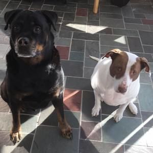 Meet your Posher, Sabrina