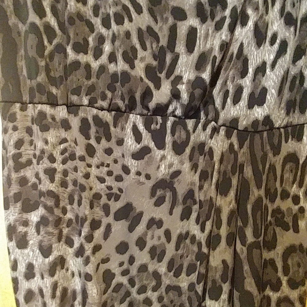 ****Dress*** - Picture 3 of 4