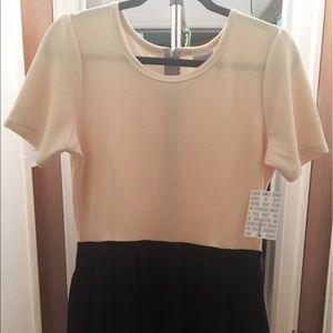 Large Cream/ Black Amelia Lularoe