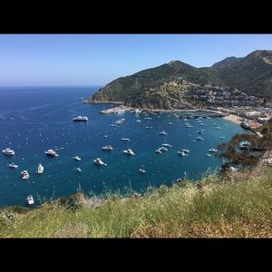 Meet your Posher, Mayra