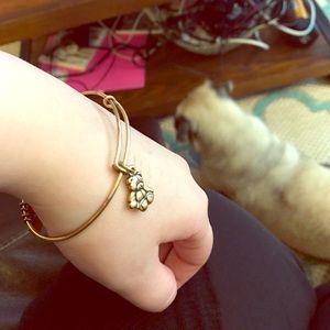 Alex and ani braclet