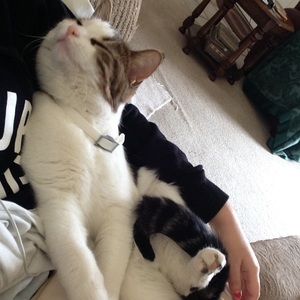 Meet your Posher, Erin