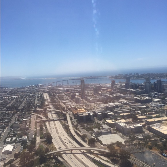 Meet your Posher, Lulu - Picture 1 of 1