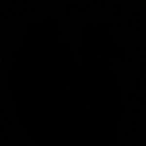 Meet your Posher, Paulette