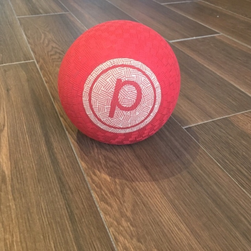 Pure barre ball