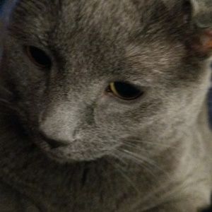 Meet your Posher, Heather