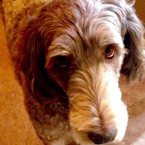 Meet your Posher, Caryl