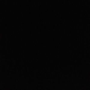 Meet your Posher, Gregory