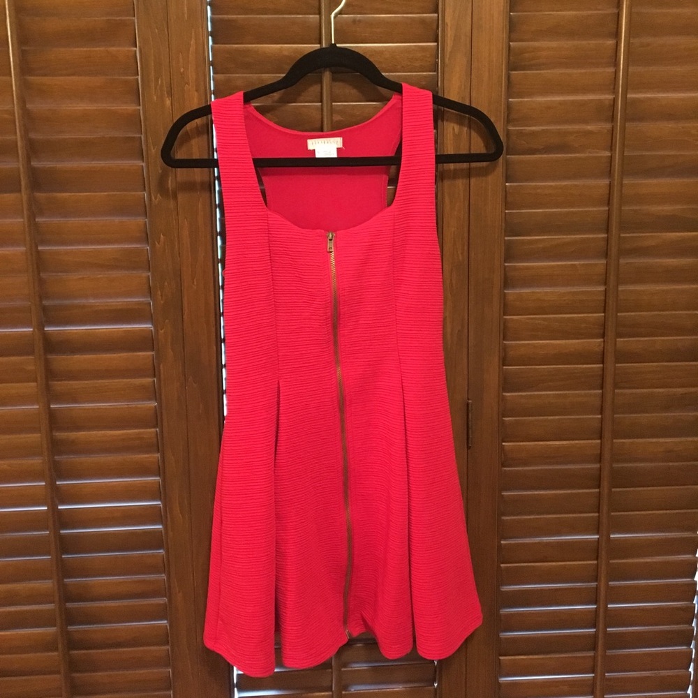 Fit and Flare Zip-Up Dress