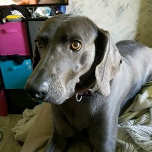 Meet your Posher, Kari