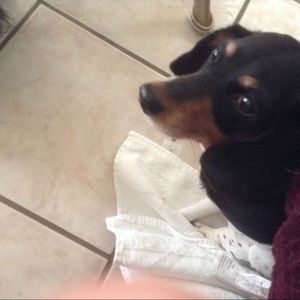 Meet your Posher, Susan