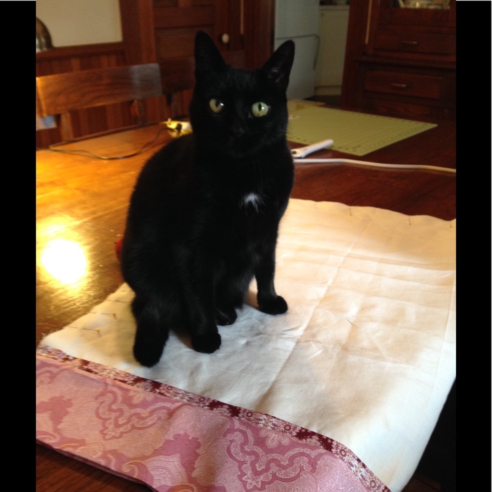 Meet your Posher, Janet
