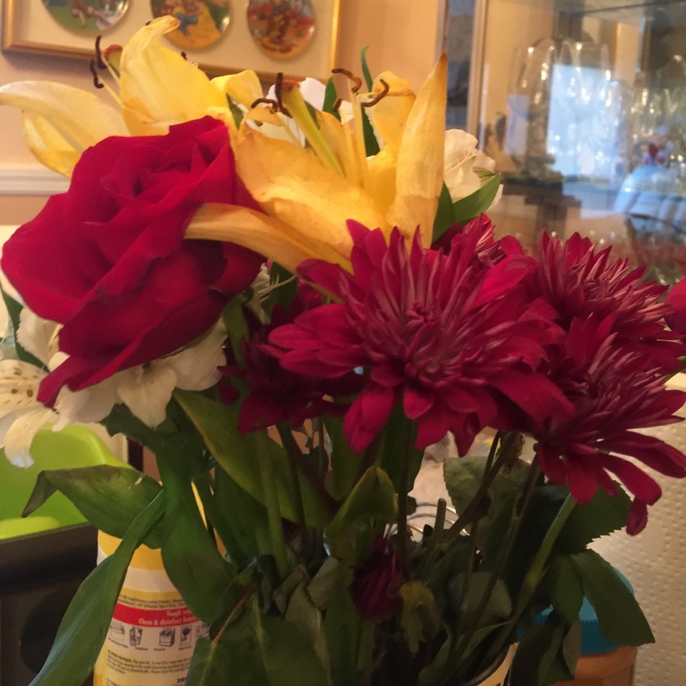 Meet your Posher, Julie