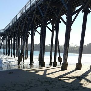 Meet your Posher, Rosie