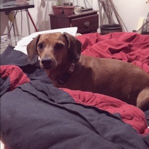 Meet your Posher, Kyla