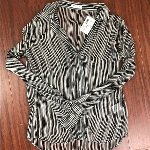 Equipment Tops - NWT Equipment Femme Silk Button-Up