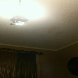 Meet your Posher, Janis