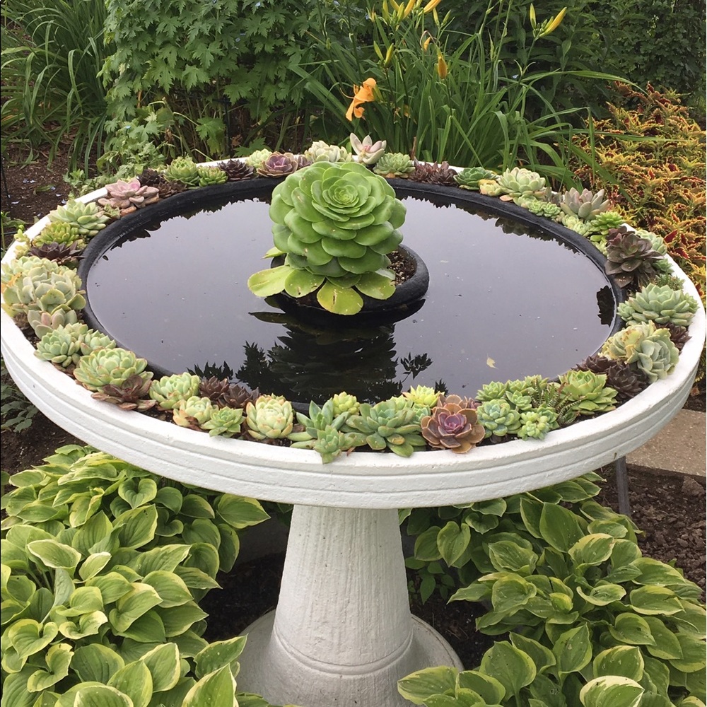 Meet your Posher, Brooklyn