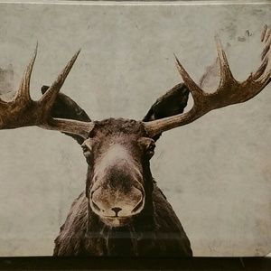 Meet your Posher, Dianne