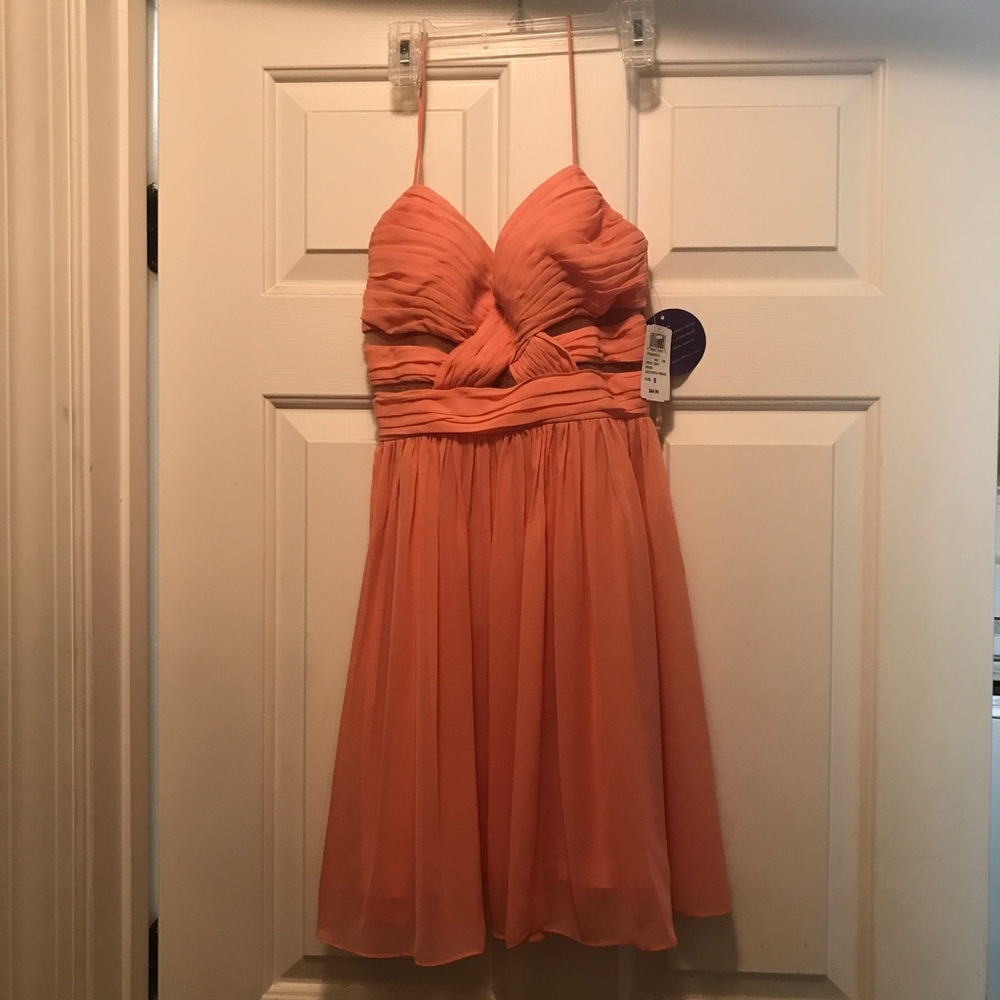 NWT windsor peach dress