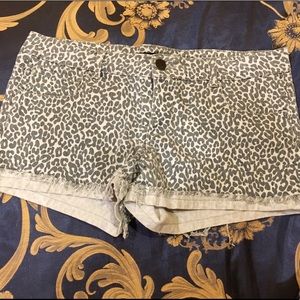 cheetah shorts