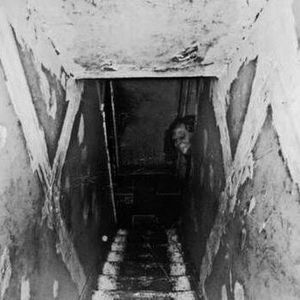 Meet your Posher, Dennis