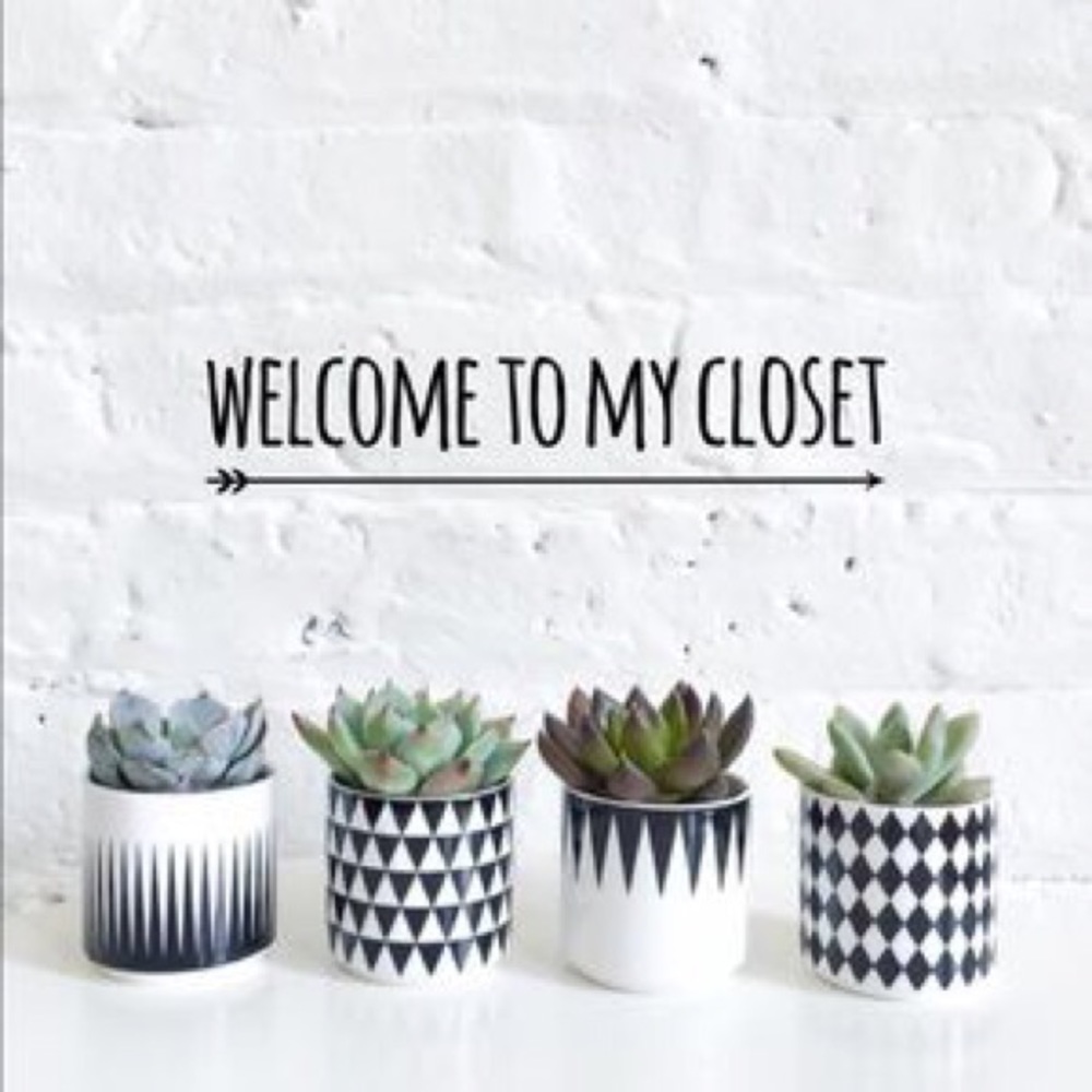 🌵🌵🌵🌵🌵🌵