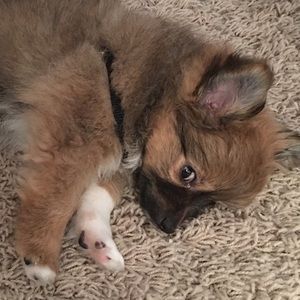 Meet your Posher, Kaki