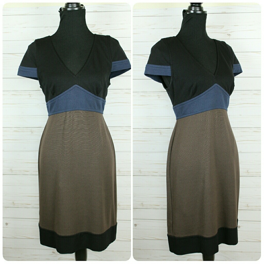 BCBG MaxAzria Colorblock Dress
