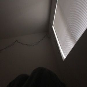 Meet your Posher, Daisy