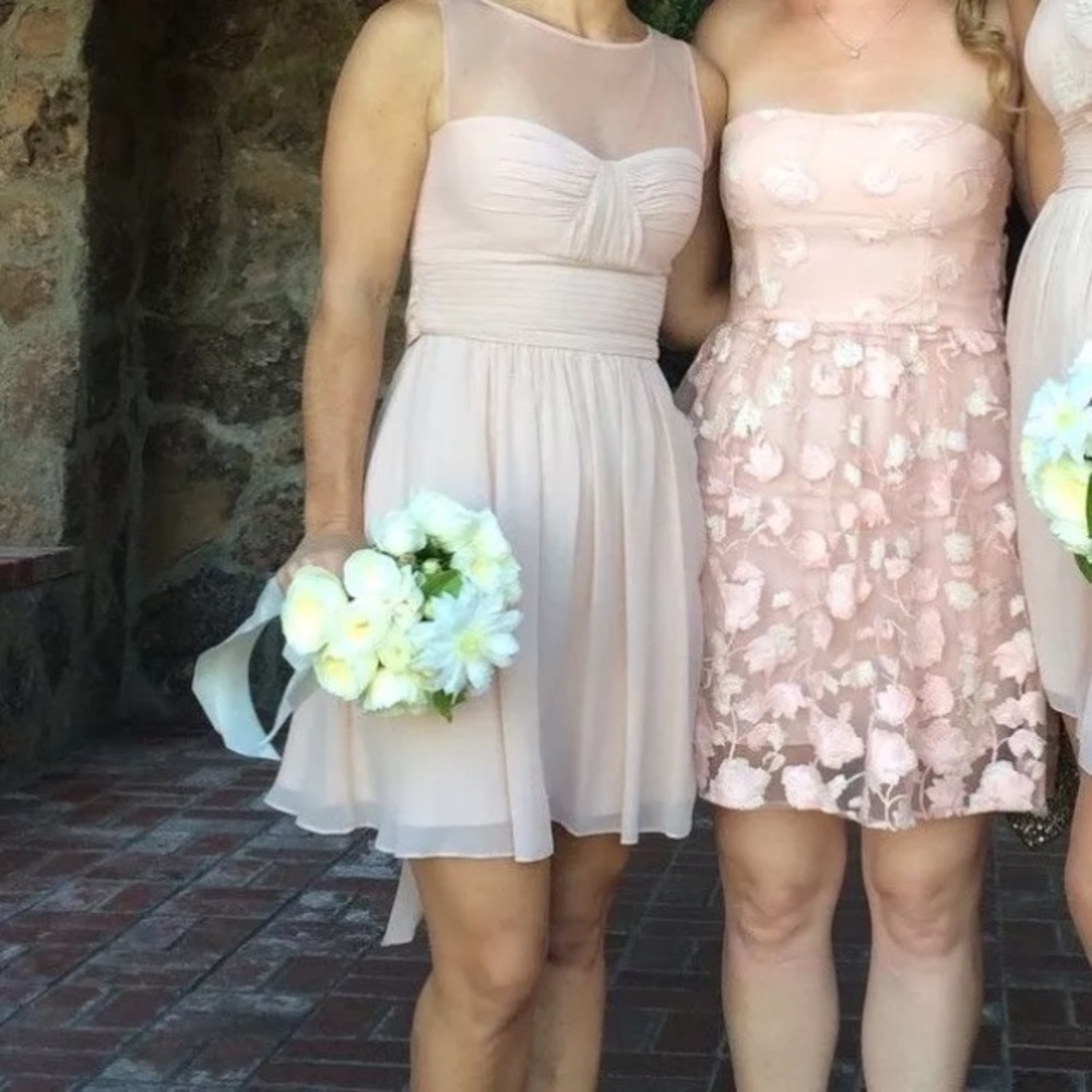 BCBG Maxazria Blush Dress