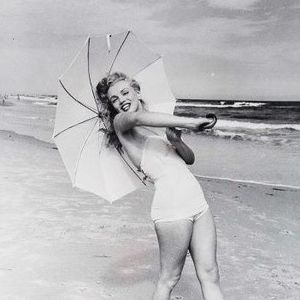 Meet your Posher, Bambi