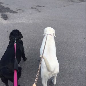 Meet your Posher, Gordon