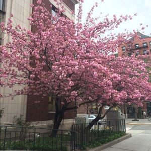 Meet your Posher, Debora