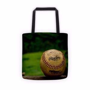Baseball ball bag