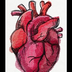 Meet your Posher, Angel