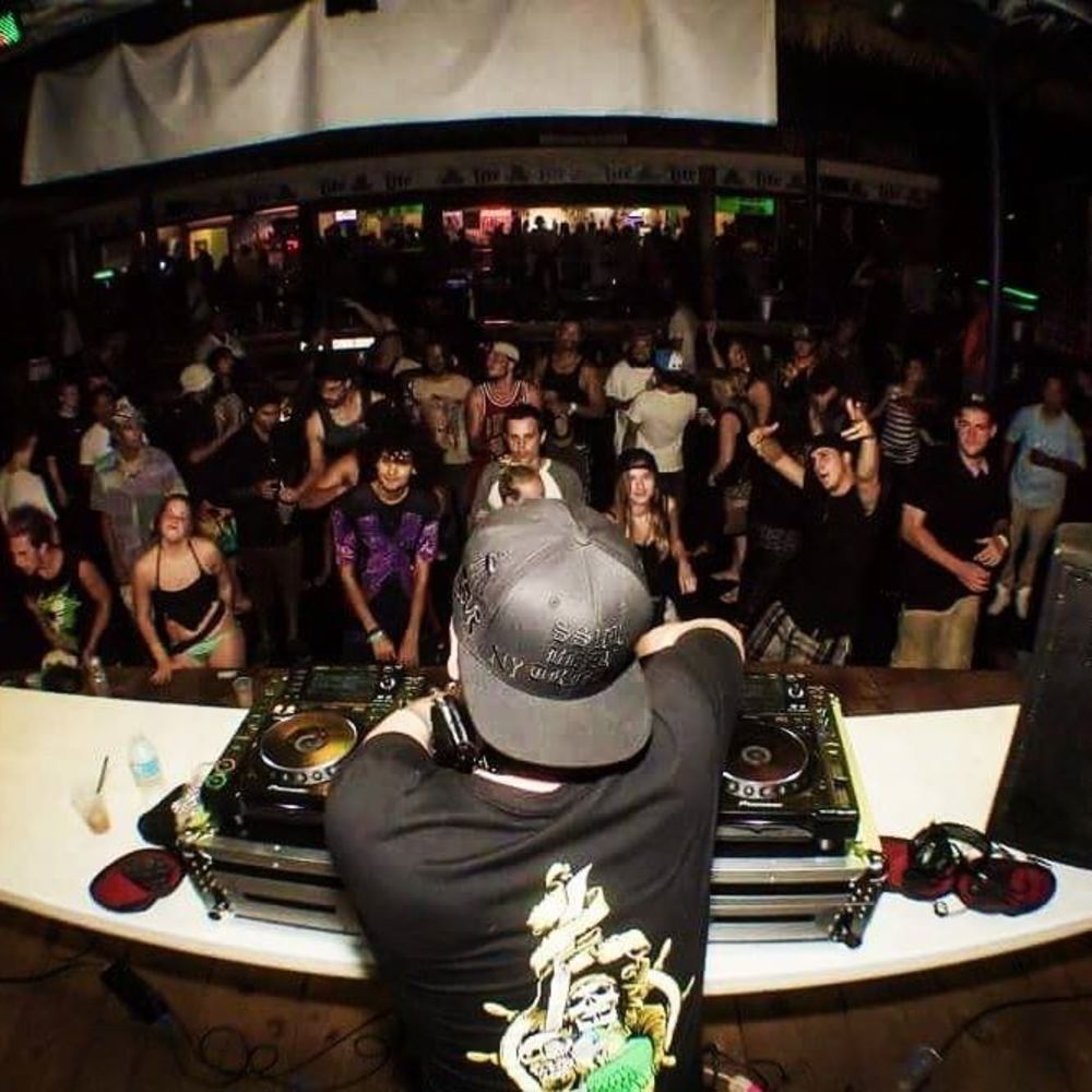 Meet your Posher, Sammy