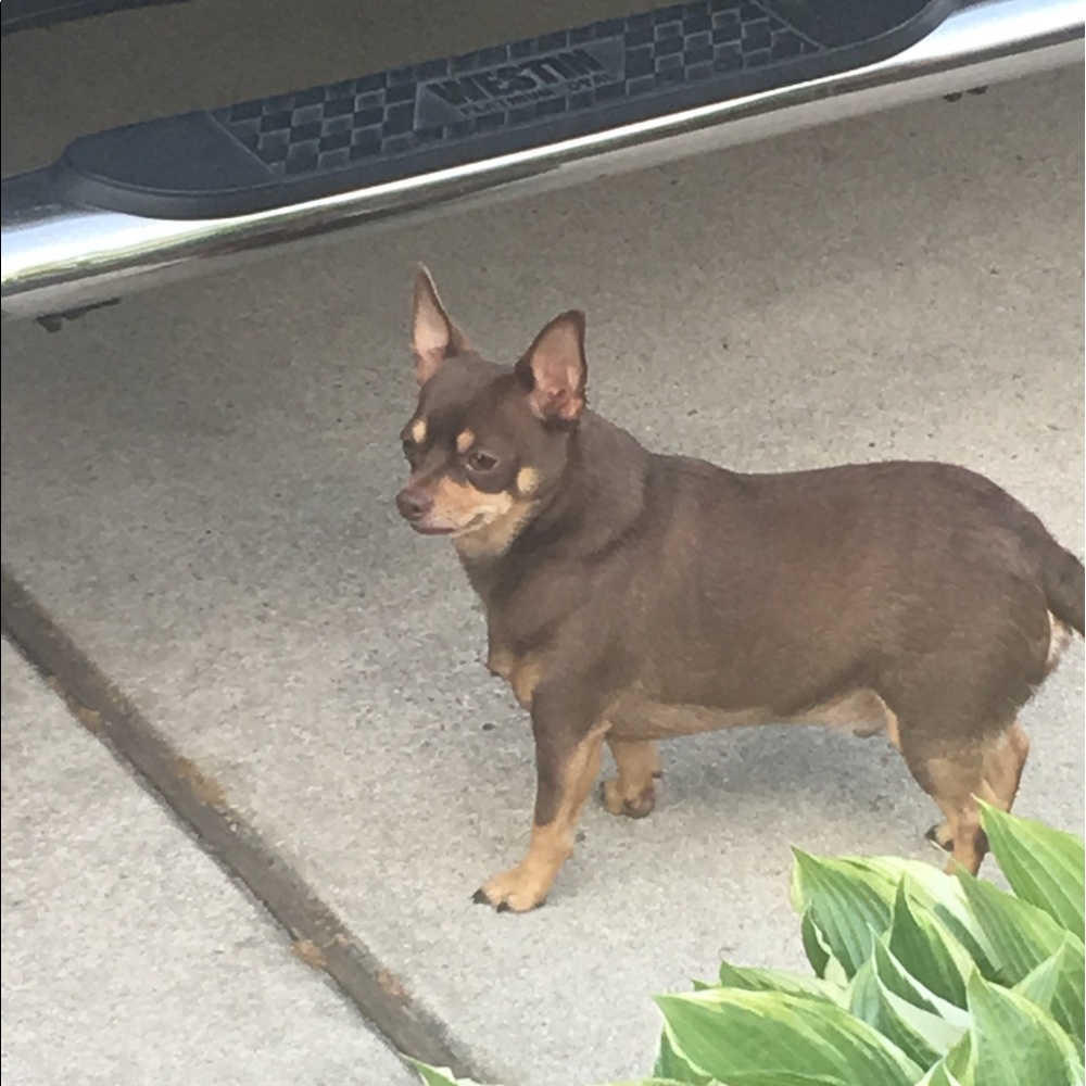 Meet your Posher, Thanh