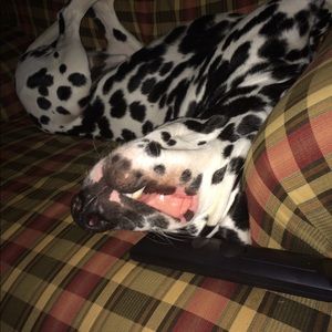 Meet your Posher, Ben