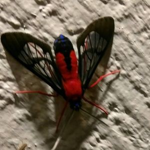 Meet your Posher, Todd