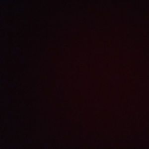 Meet your Posher, Dennis