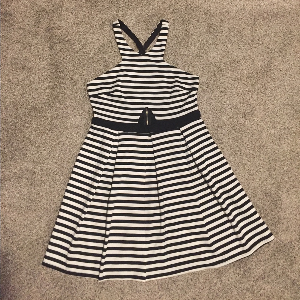 Striped Skater Dress