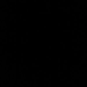 Meet your Posher, Alondra