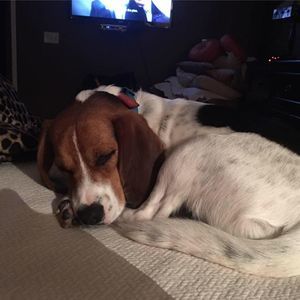 Meet your Posher, Andy